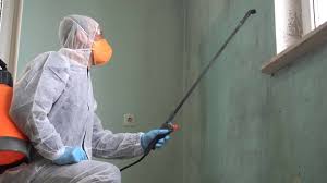 Best Forensic Mold Investigation in Niagara Falls, NY